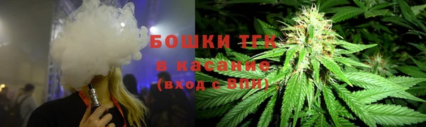стафф Михайловск