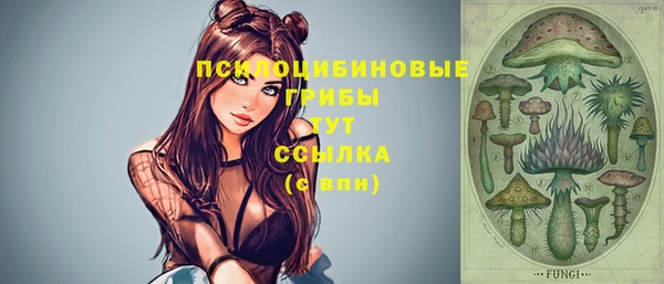 Альфа ПВП Надым